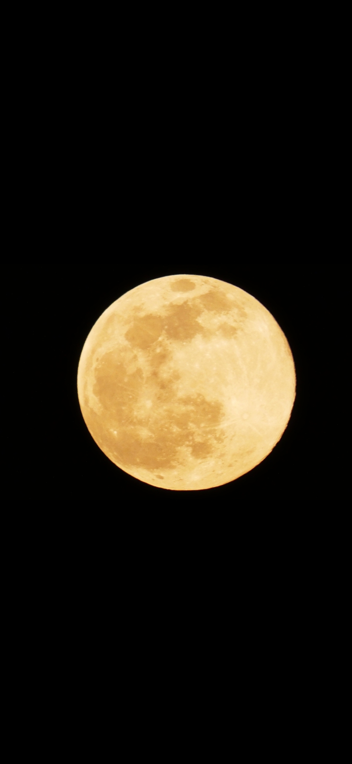‧͙⁺˚*･༓☾ MOON ☽༓･*˚⁺‧͙
