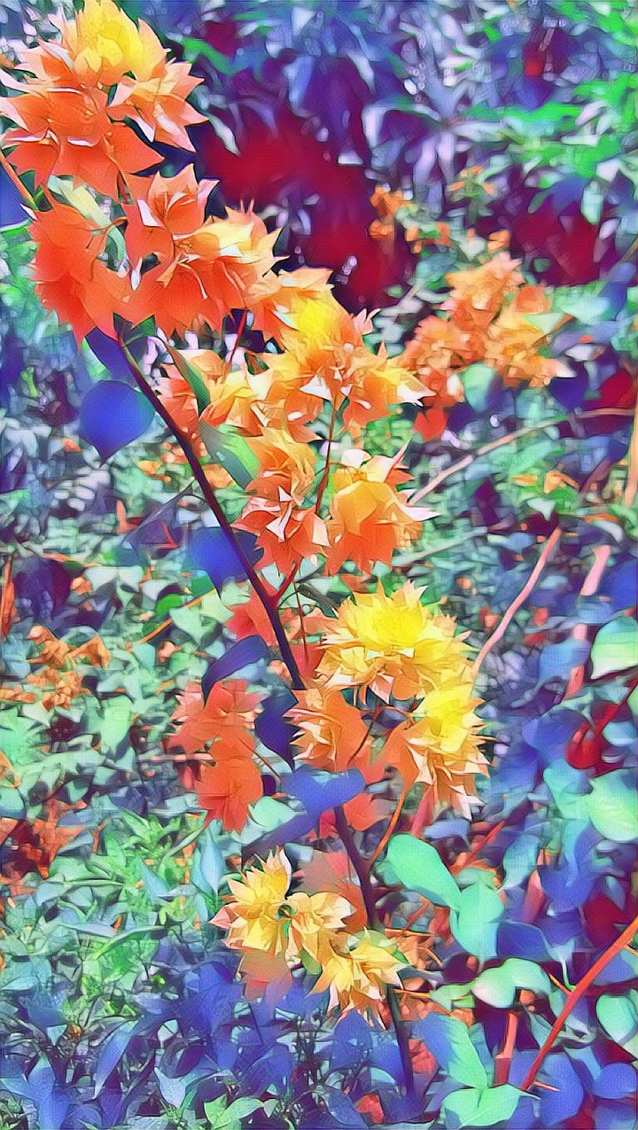 flowers