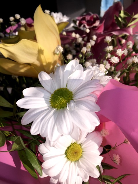 flowers