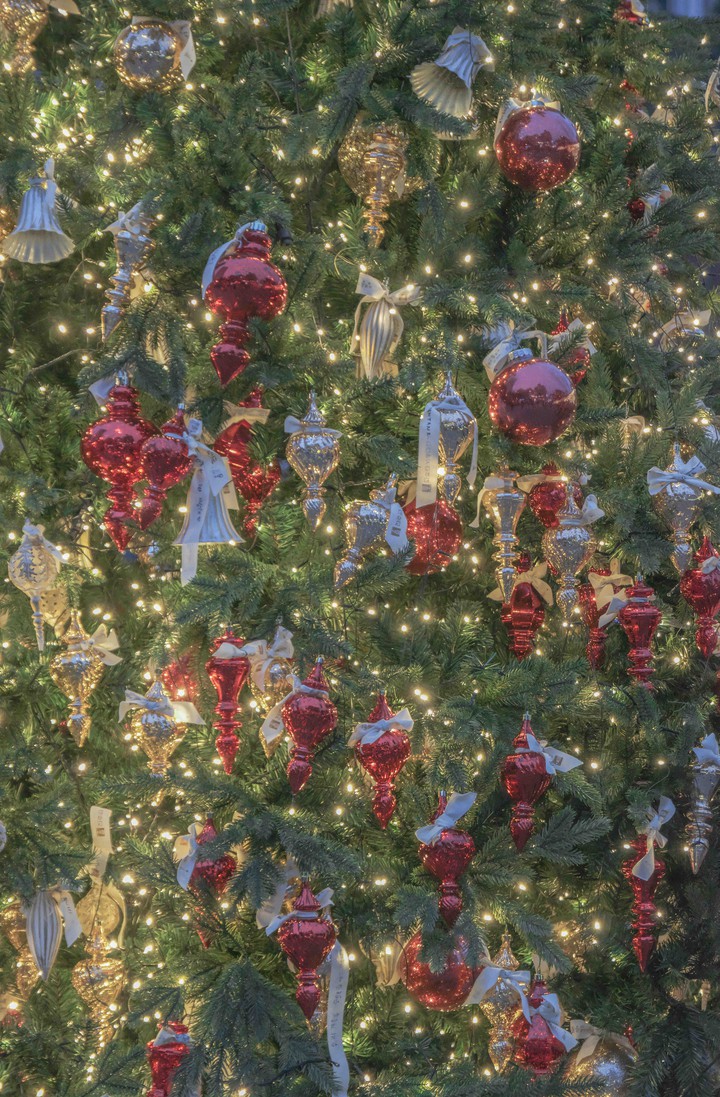 tree
