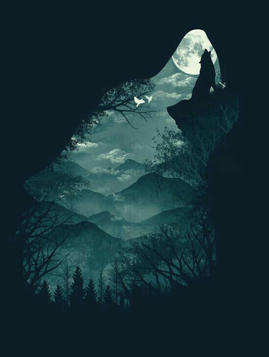 wolf art