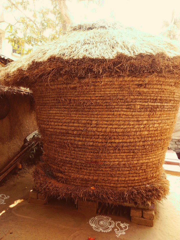 paddy container