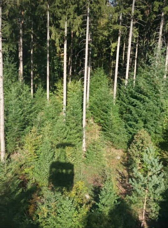 Schattenspiel