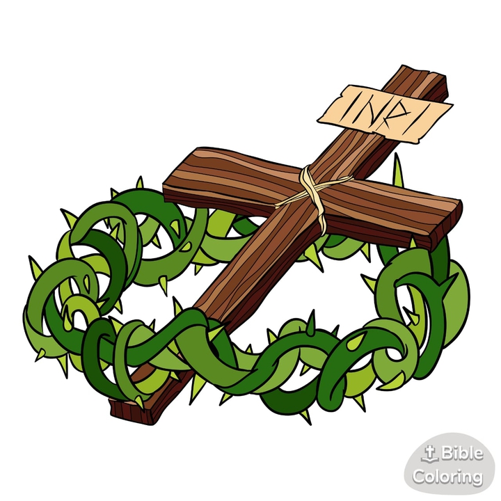 Cruz