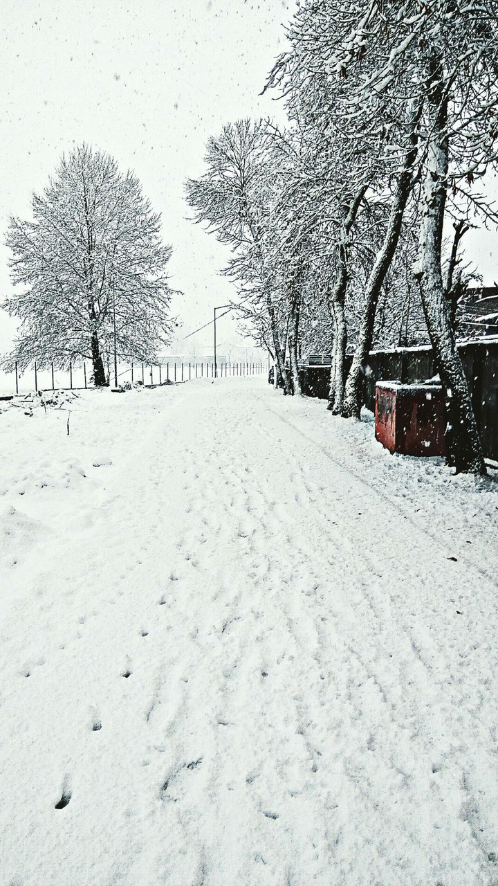 Snowfall in Srinagar, Kashmir