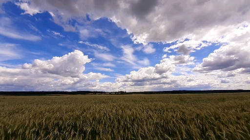 nature/ природа