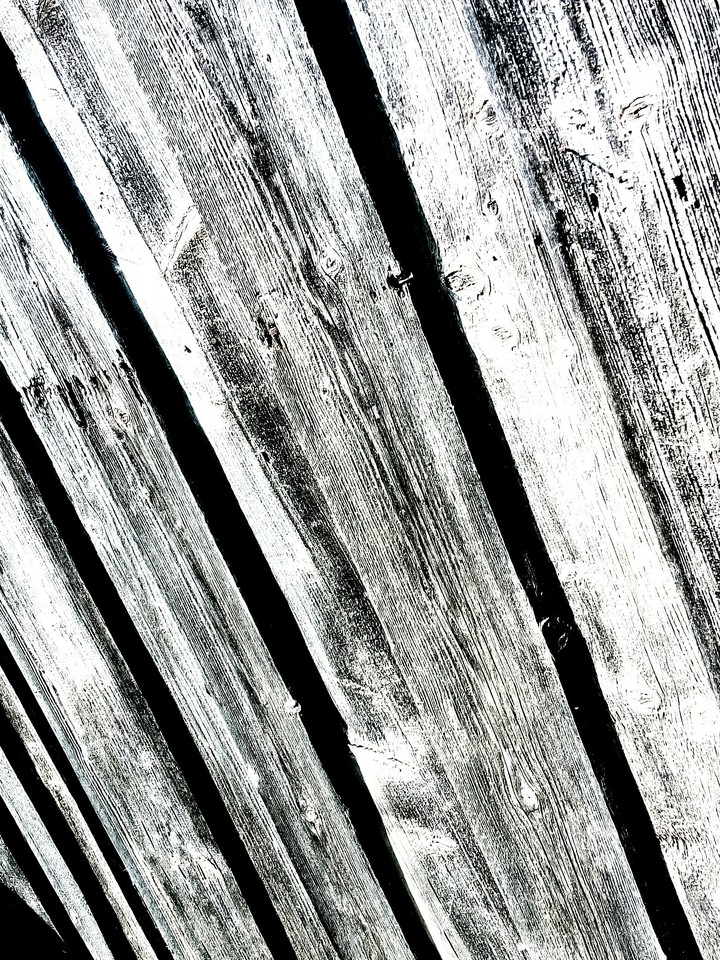 texture tree
