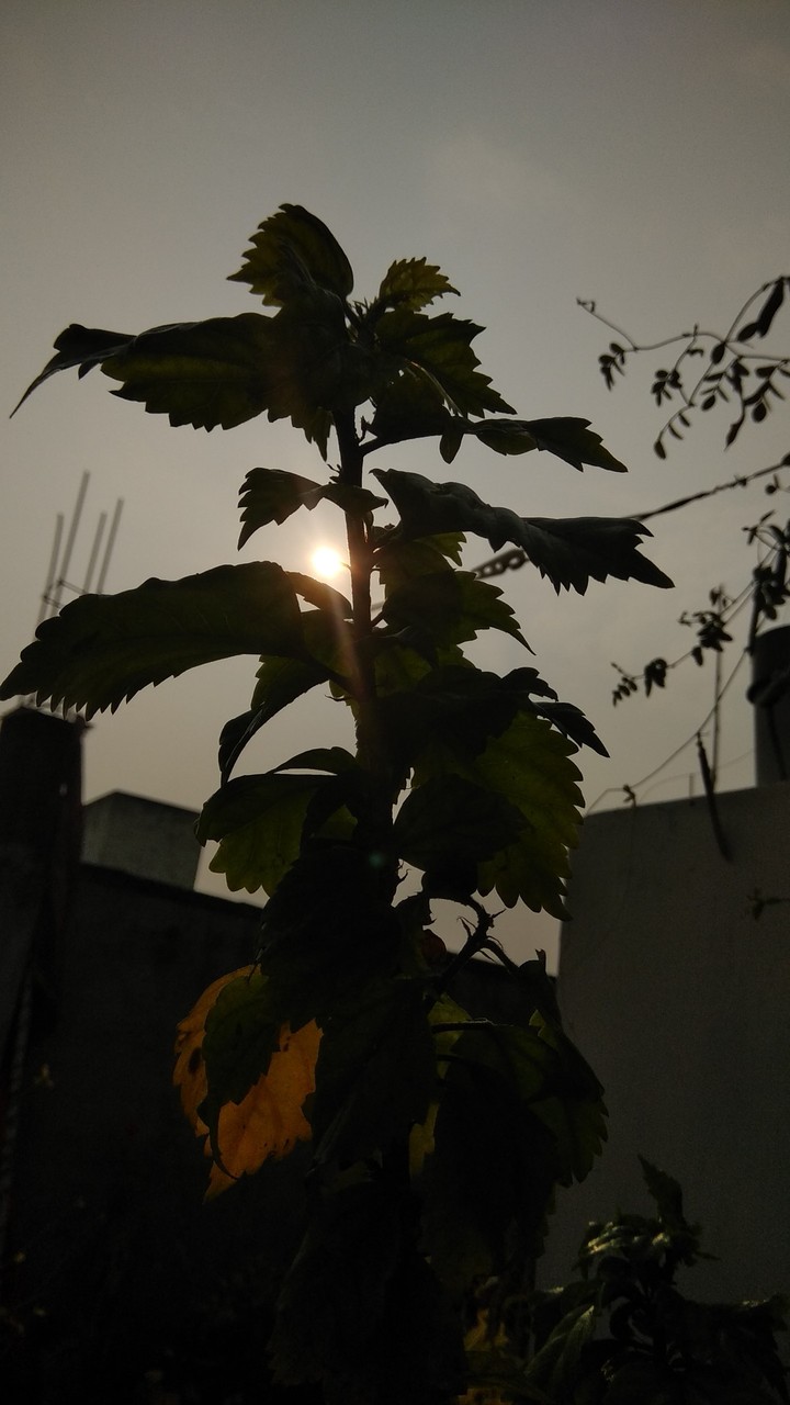 Sun Rise Photography