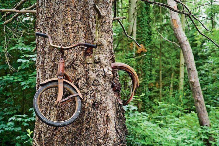 The lost world ?