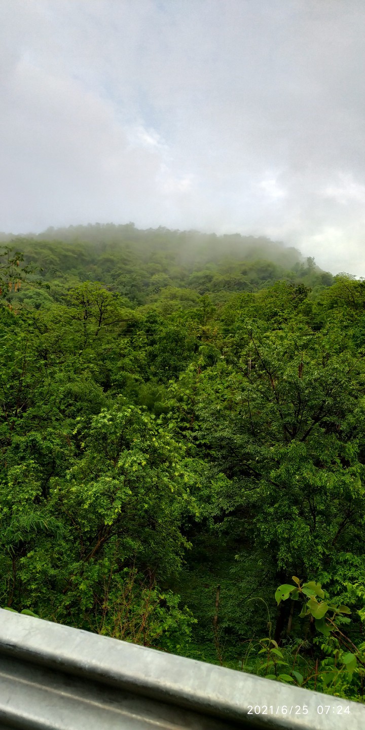 Love.. beauty of Nature