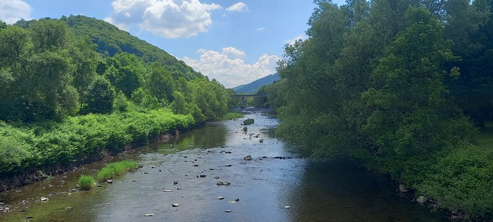 Nature