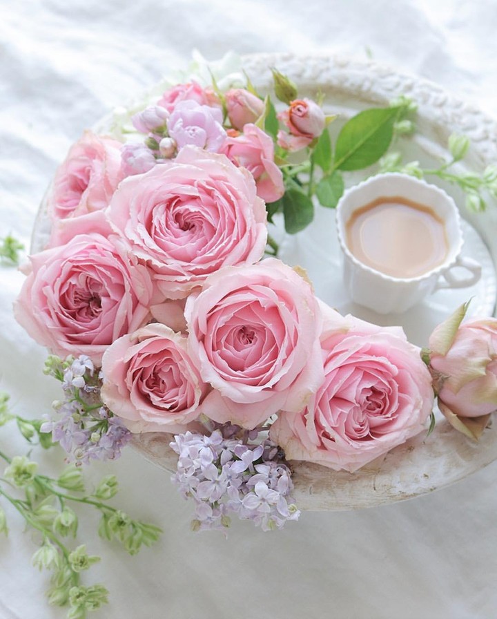 ❣️Good morning ❣️
