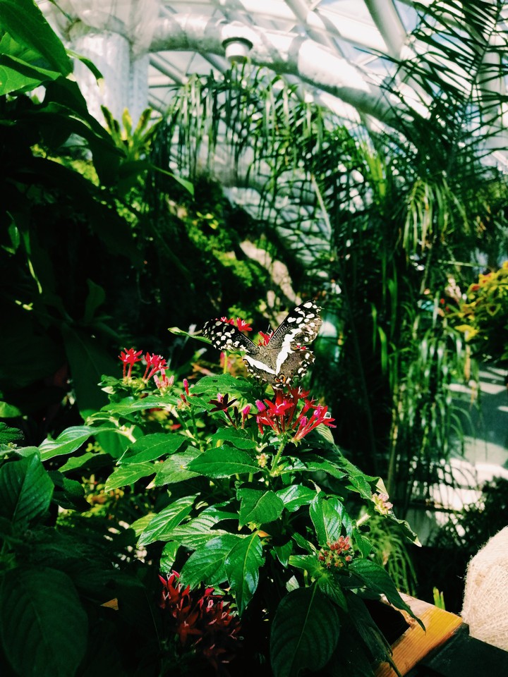 nature