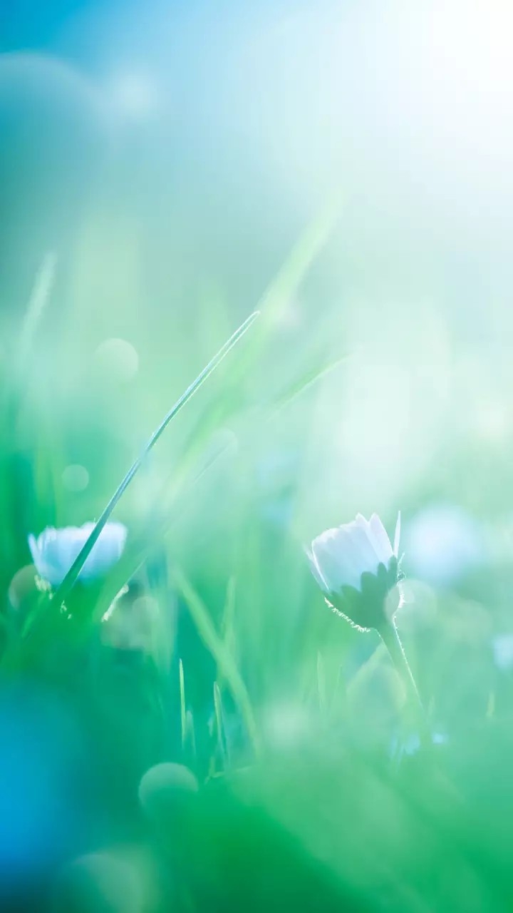 Nature beautiful..