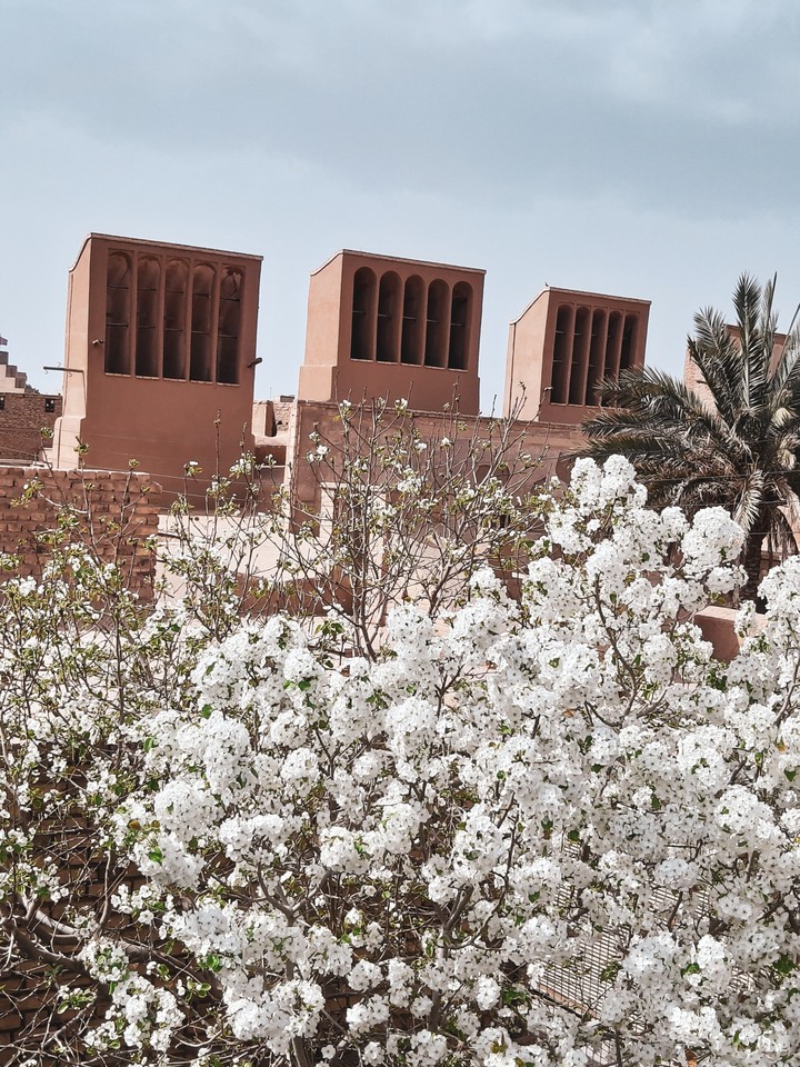 spring in Iran (Yazd)