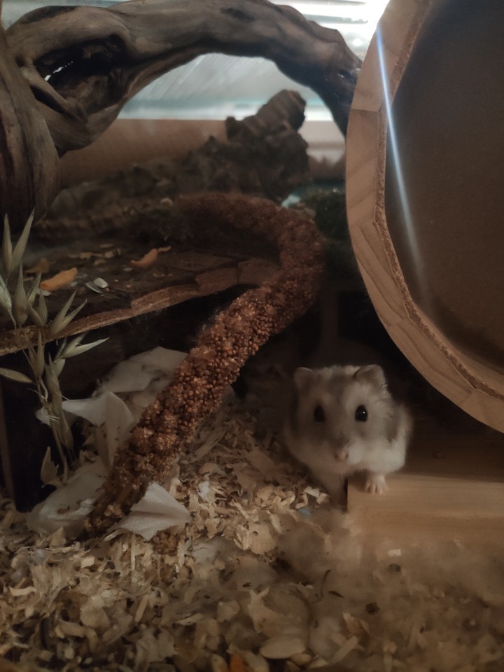 Little pose