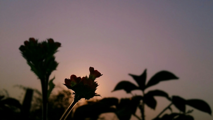 Sun set by Tuman
