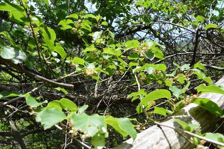 산이미지