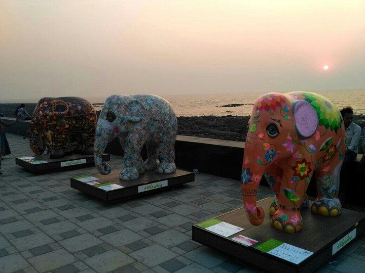 elephant with sunset