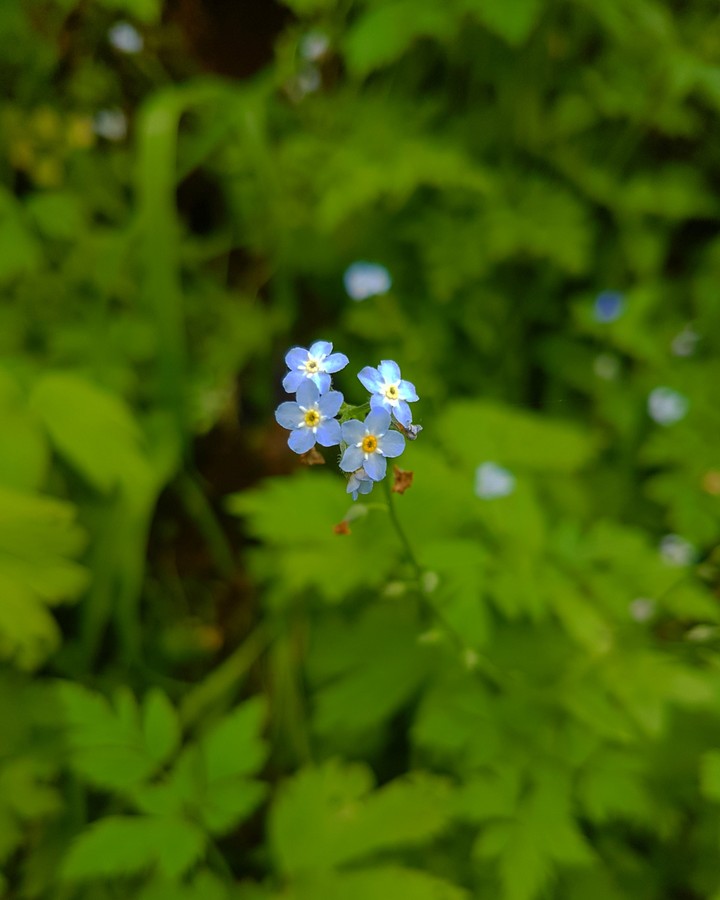 summer