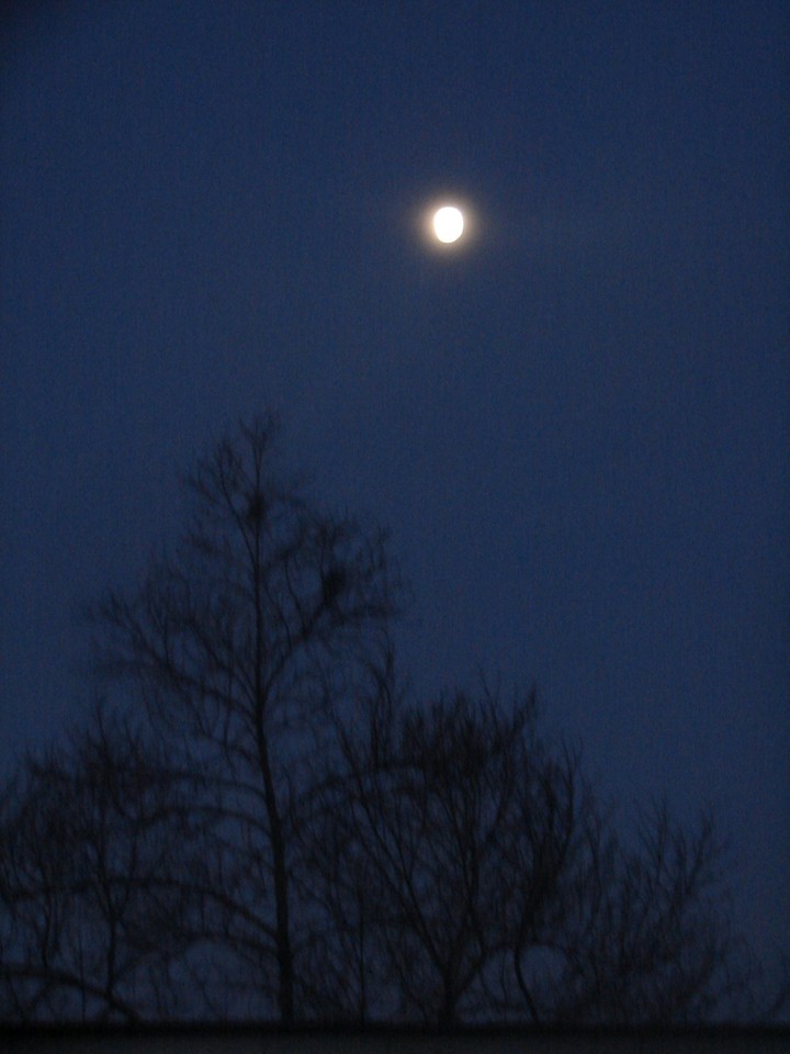 night click