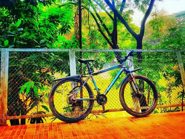 Bicycle