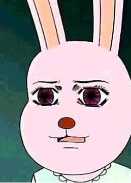 Rabbit