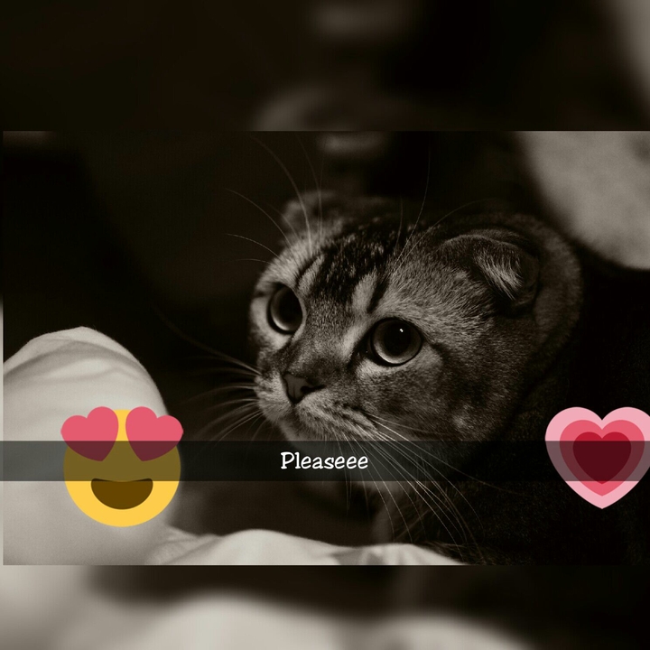 Pleasee