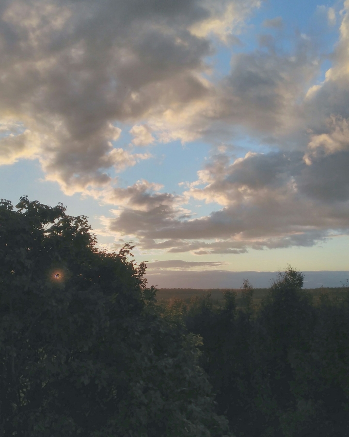 out of the window