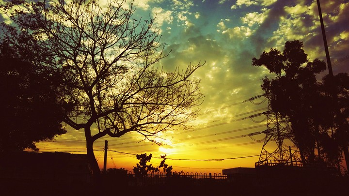sunny day