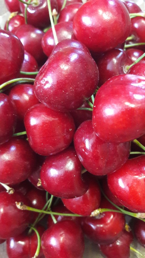 berry, vegetable wallpapers