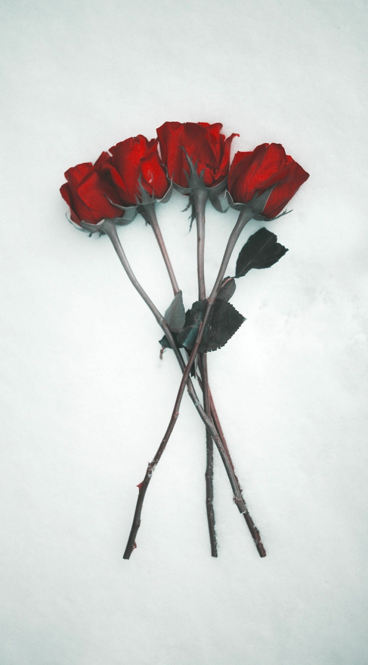 happy Valentine's  day  u eat give  thanks  at u like it a