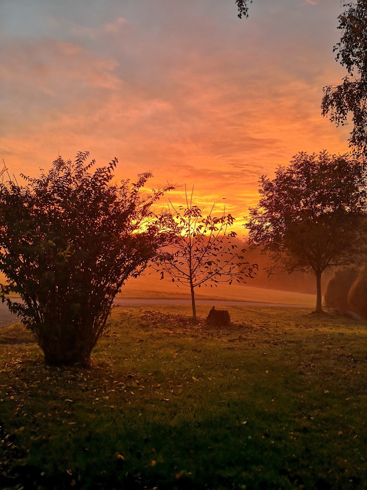sun