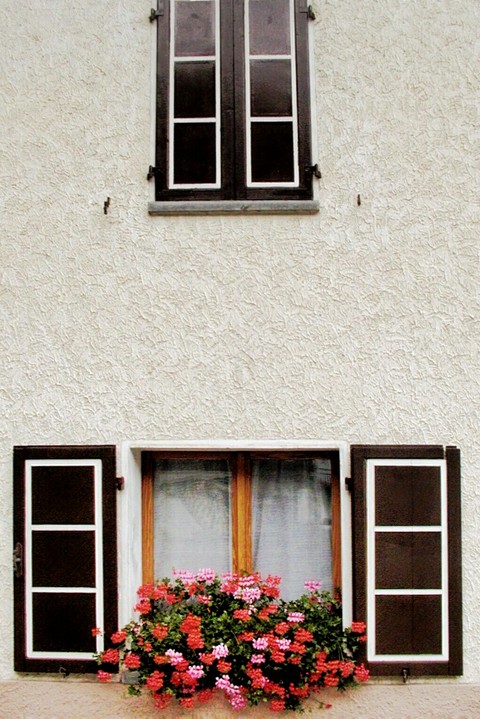 Little windows