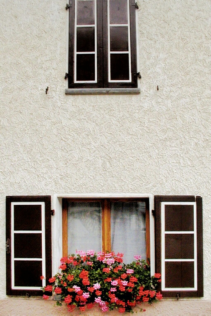 Little windows