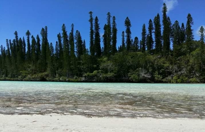 ile des pins