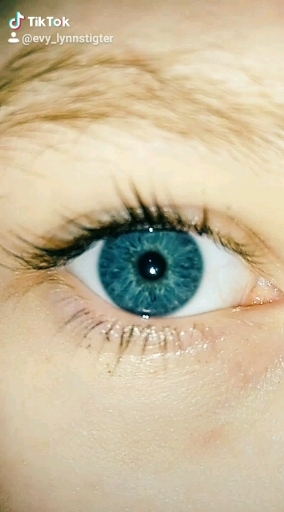 oog