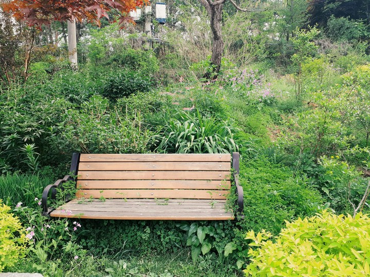 벤치