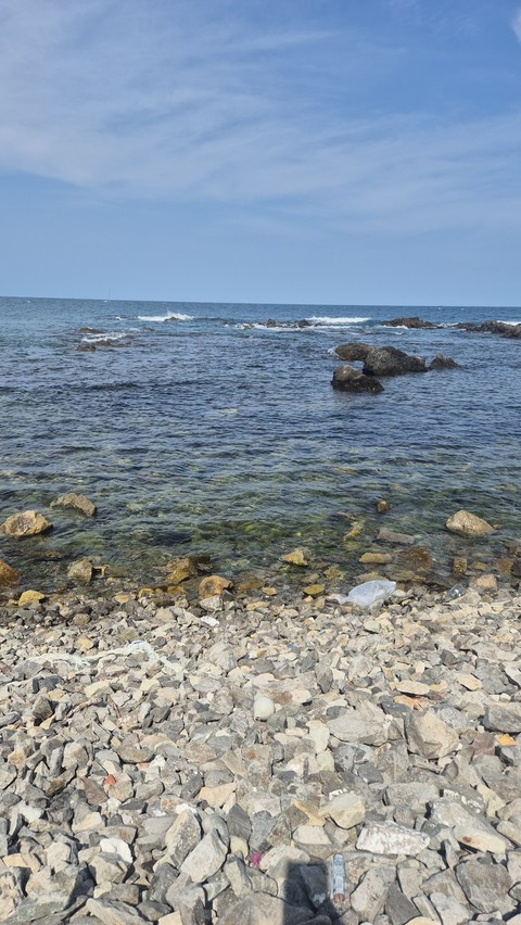 sfondi beach, wood