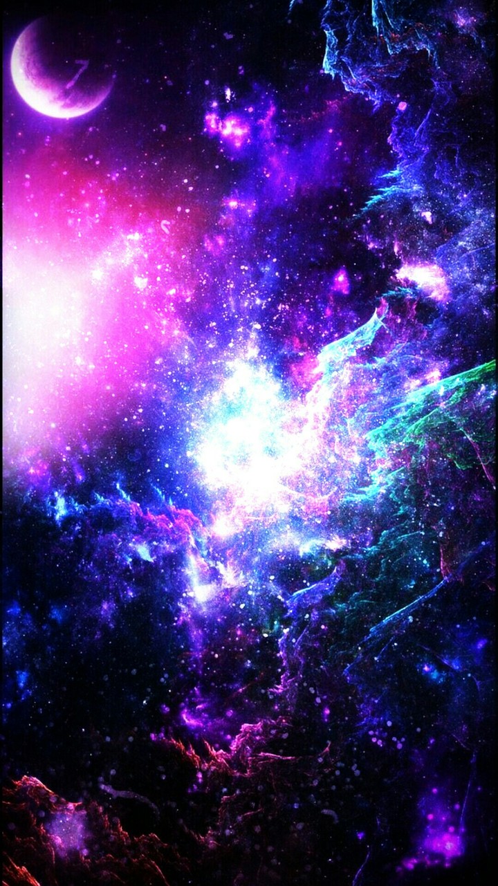 обои
