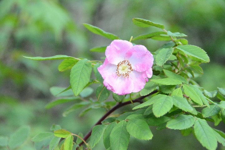 산이미지
