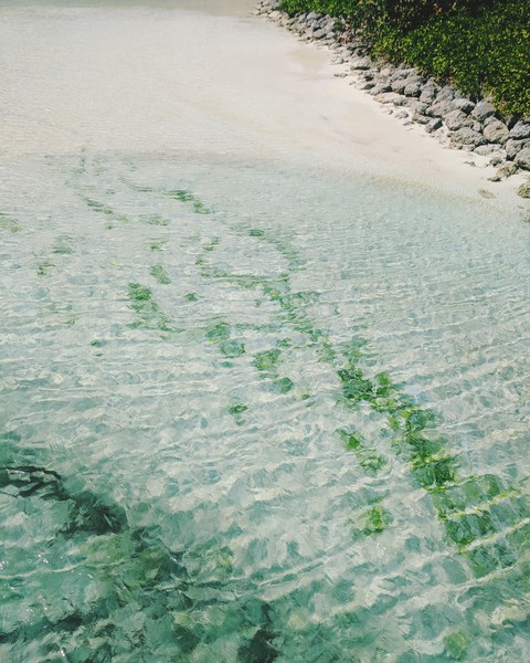 Calm Sea Shore