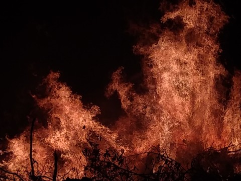 Real Fire