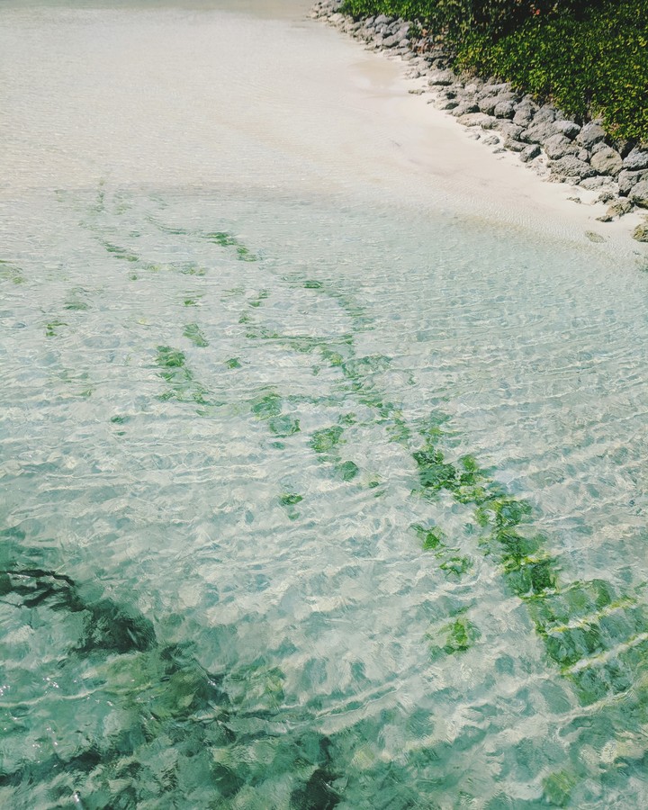Calm Sea Shore