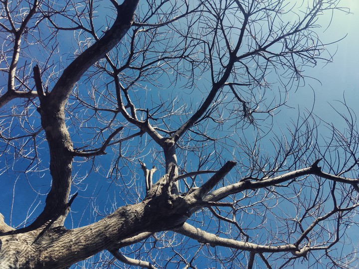 Sunlight Seeping through