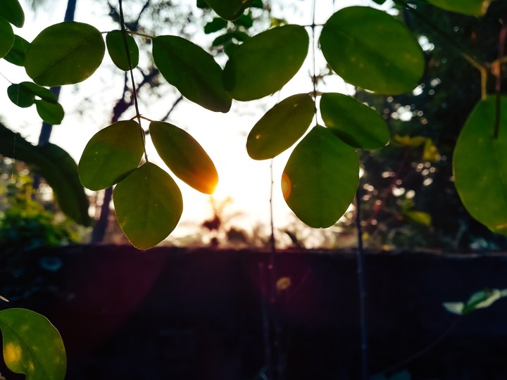morning vibes (4K)