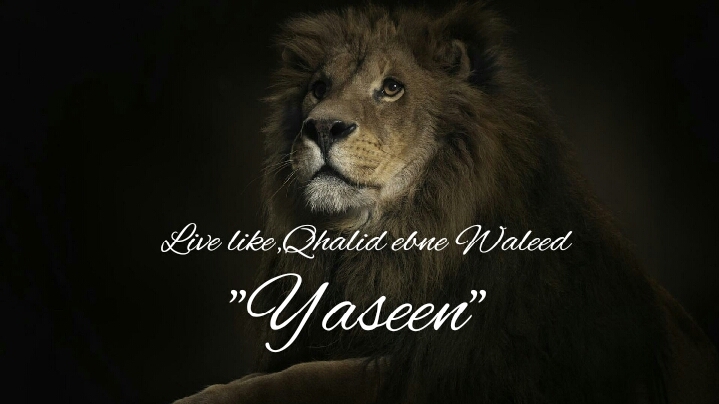 ytlion