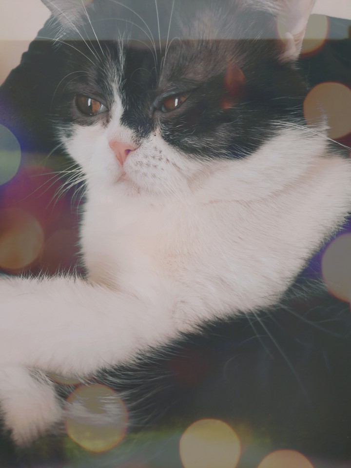 pyeti2