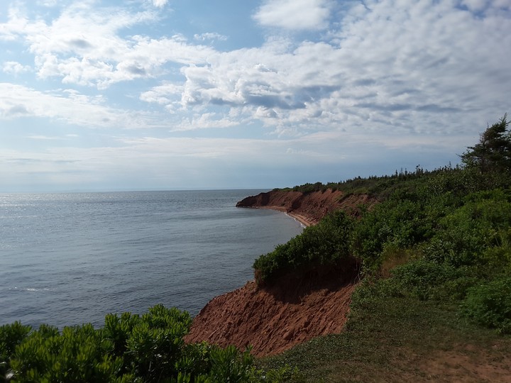 P.E.I Shores