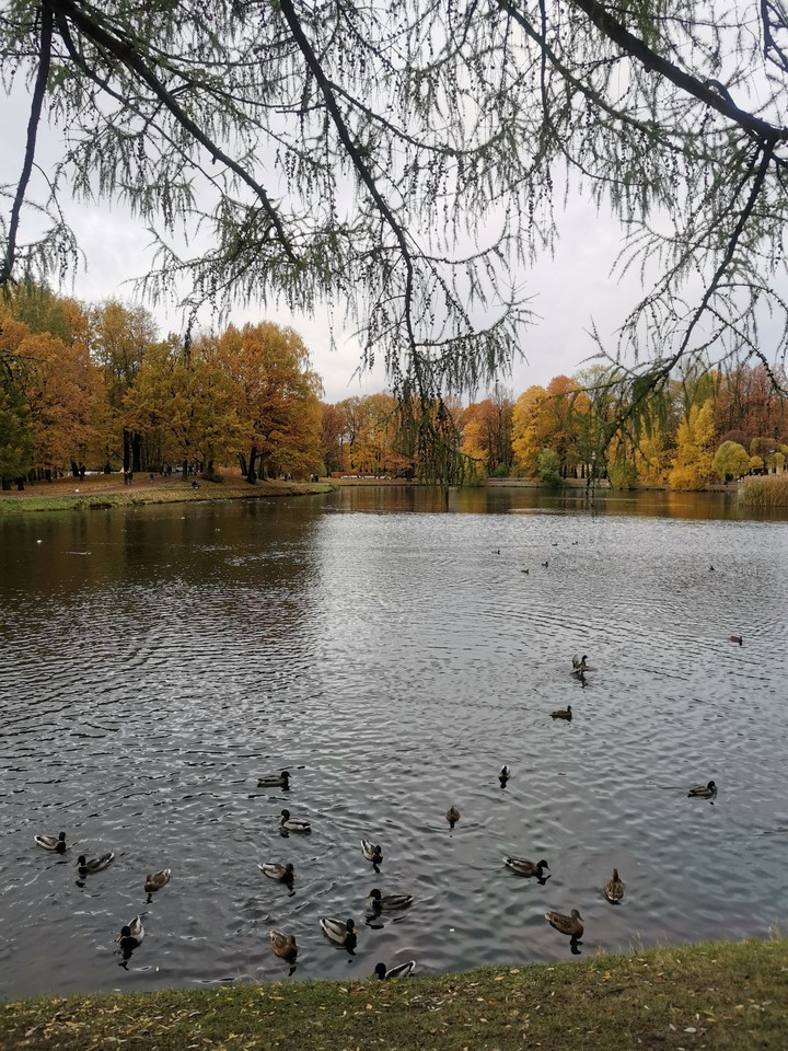 Tavrichesky park